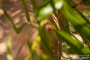 Teen Porn Storage pleased to share with you a free xxx photo gallery with Selena in xxx sex scene